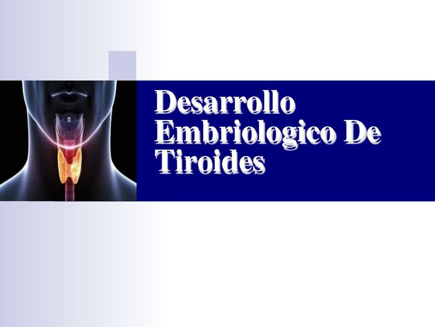 Desarrollo Embriológico de Tiroides 