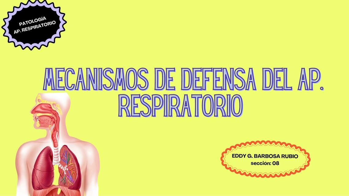 Mecanismos de defensa aparato respiratorio