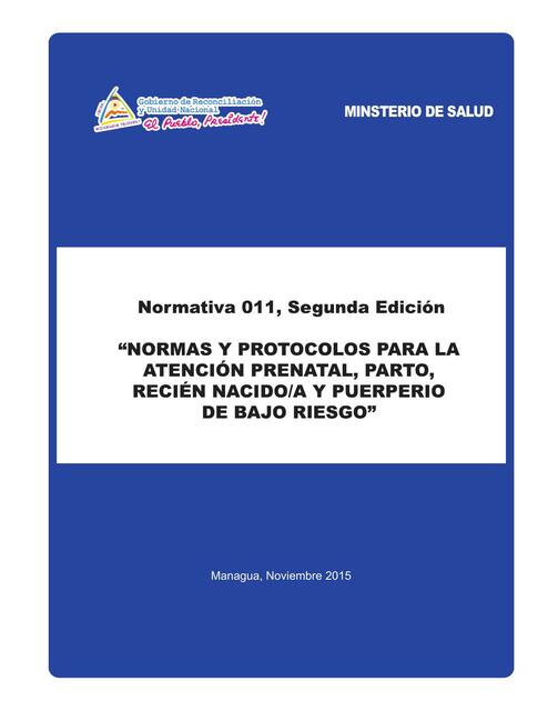 Atención Prenatal, Parto, Recién Nacido y Puerperio de Bajo Riesgo 