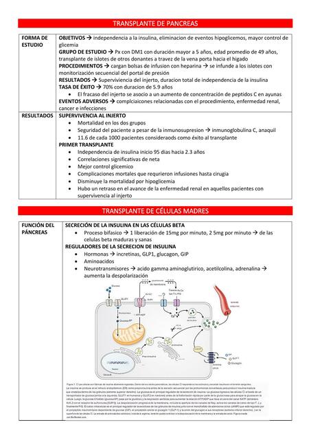 Trasplante de Páncreas 