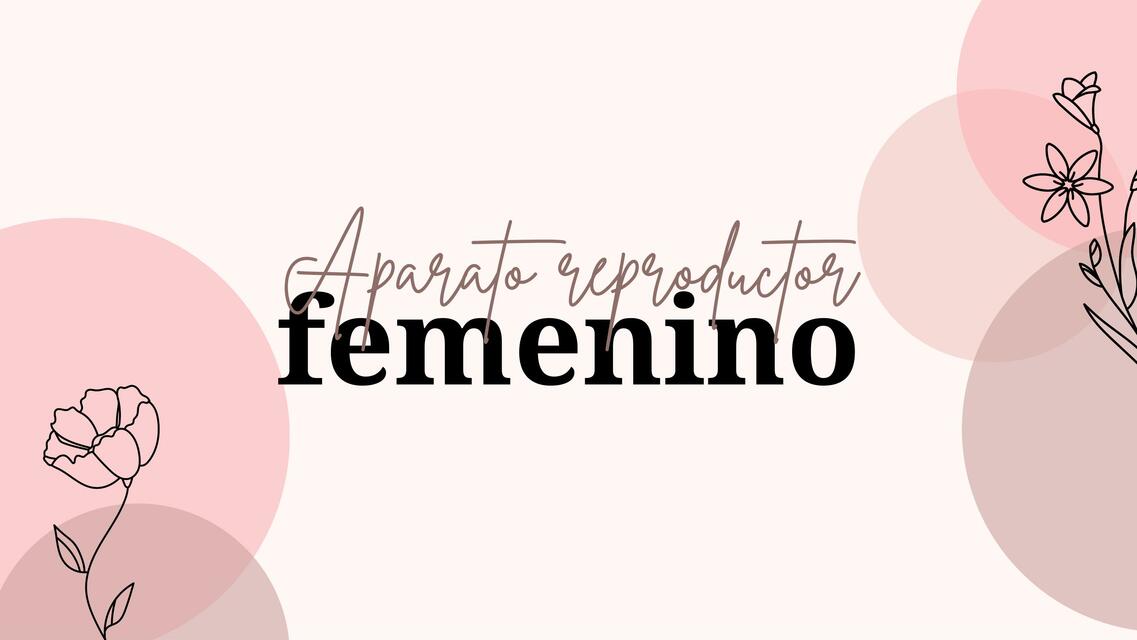 Aparato Reproductor Femenino 