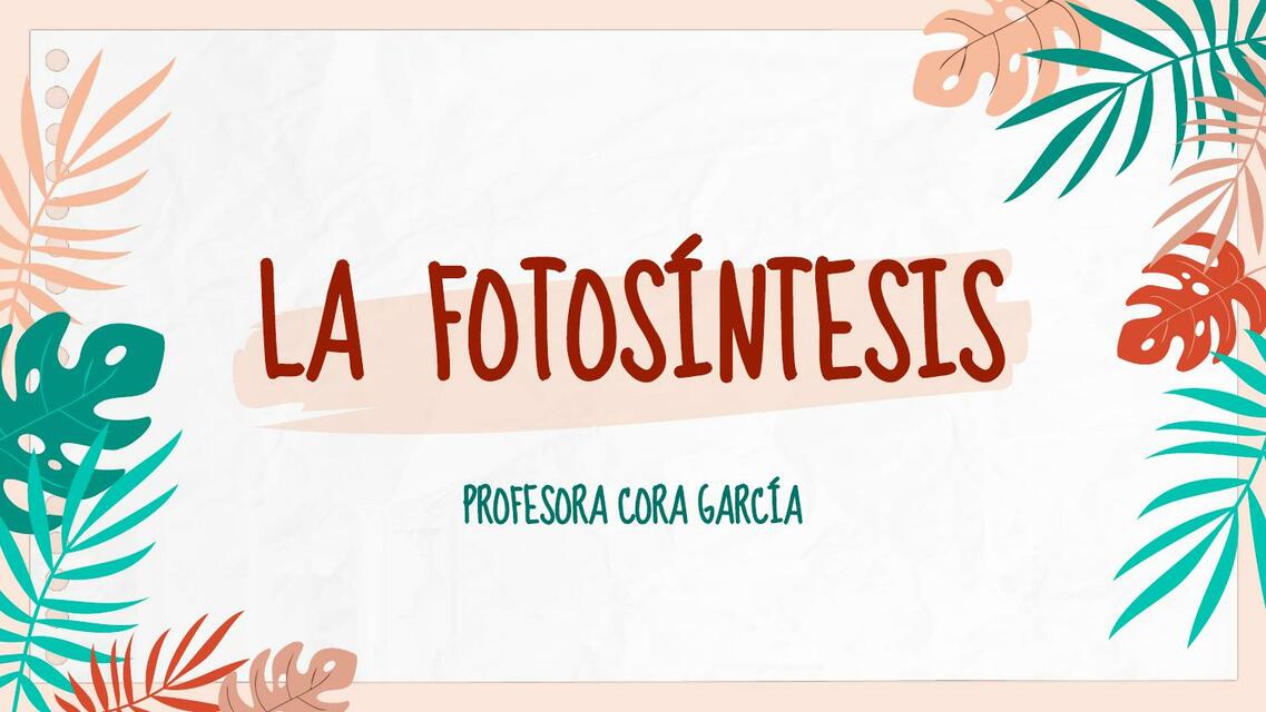 La Fotosíntesis 