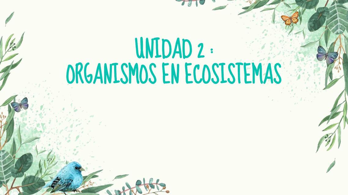 Organismos en Ecosistemas 