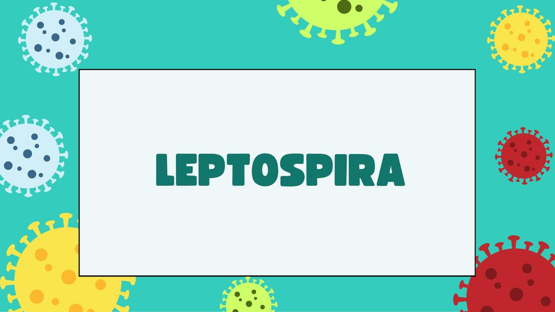 LEPTOSPIROSIS