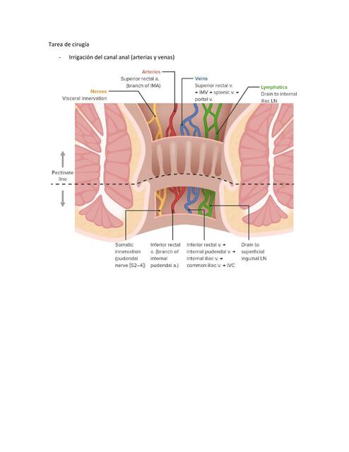 Tarea de Cirugía 