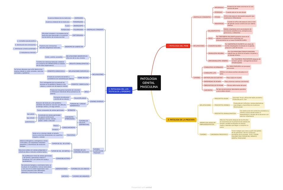 PATOLOGIA GENITAL MASCULINA