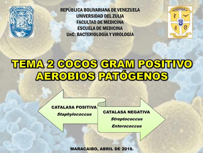 Tema 2 Cocos aerobios Gram positivo