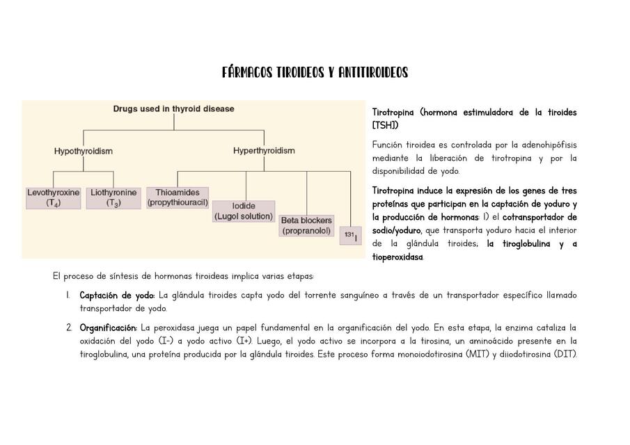 Fármacos tiroideos y antitiroideos