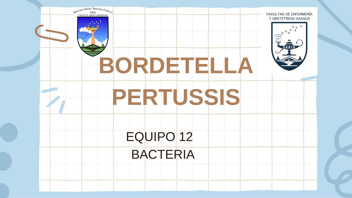 Bordetella pertussis 