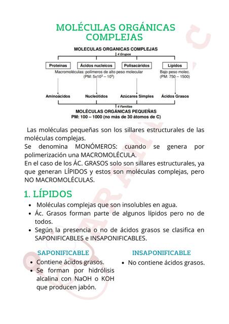 Moléculas orgánicas complejas 