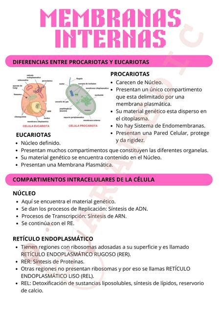 Membranas internas