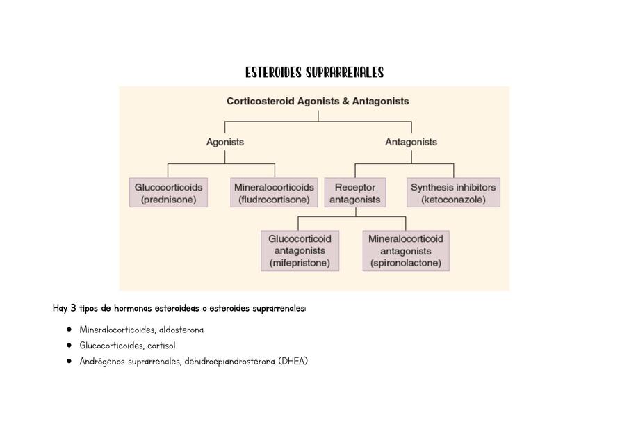Esteroides suprarrenales