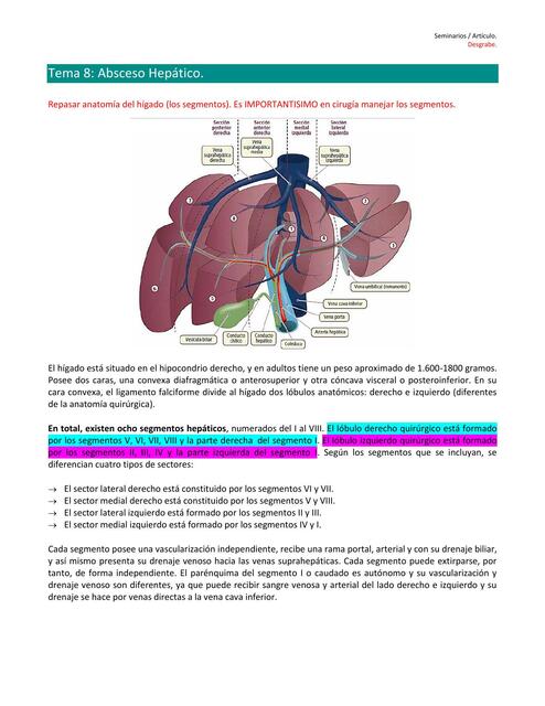 Absceso Hepático