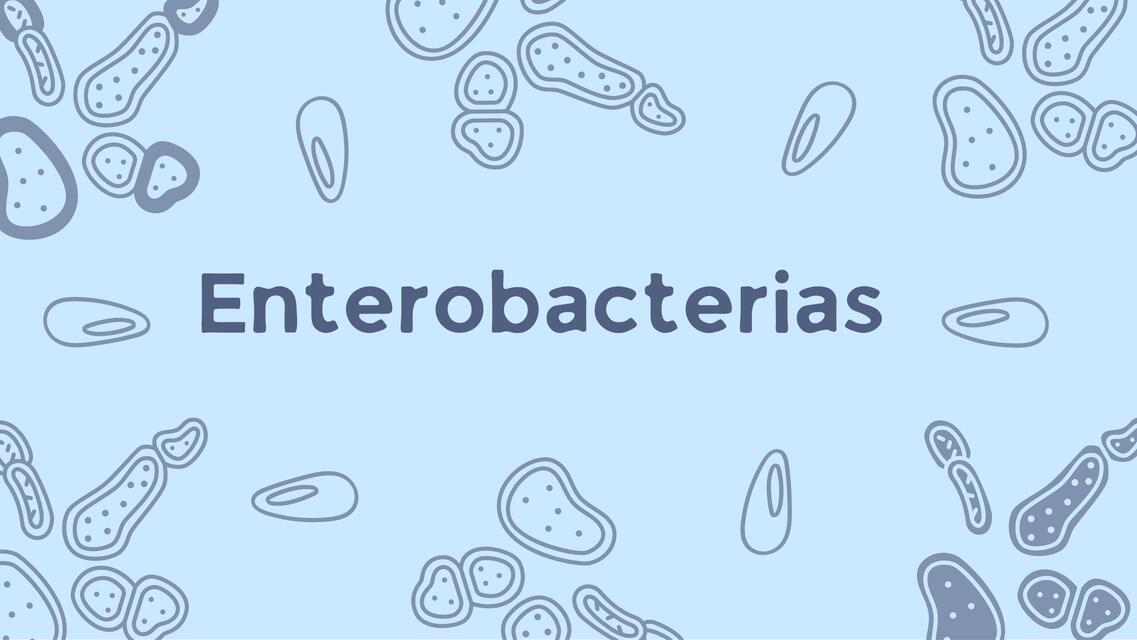 Enterobacterias 