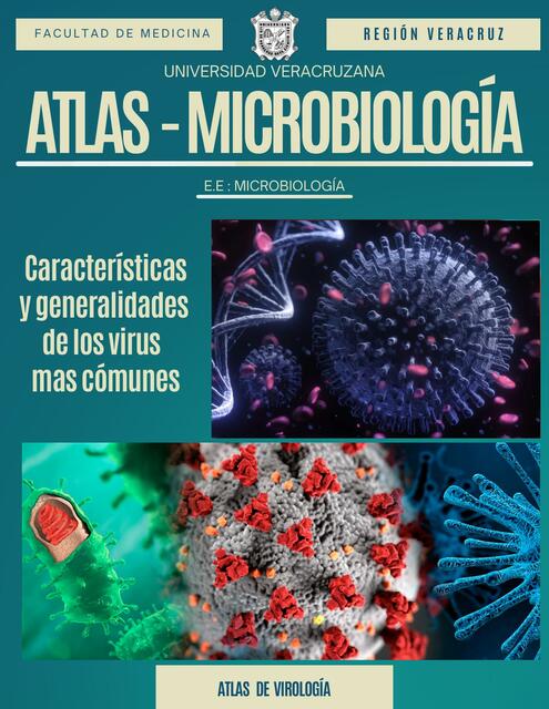 Atlas Virologia