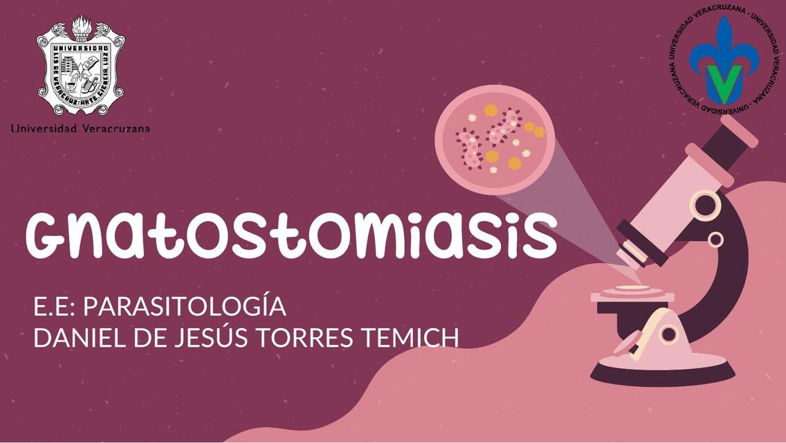 Gnatostomiasis 