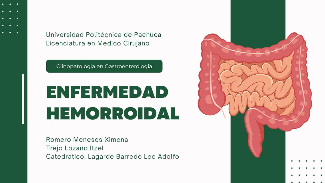 Anatomía y fisiología del recto y ano hemorroides