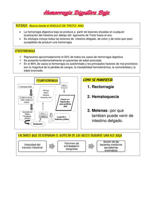 HEMORRAGIA DIGESTIVA BAJA