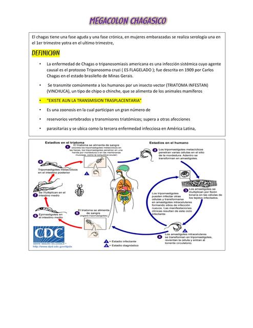 MEGACOLON CHAGASICO RESUMEN