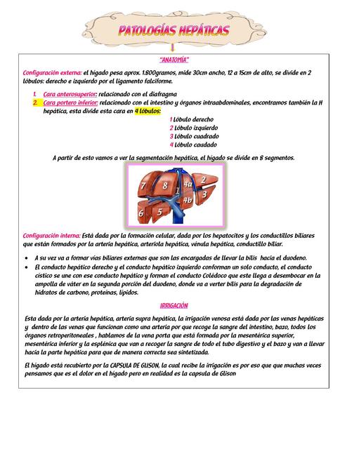 enfermedades hepáticas RESUMEN.