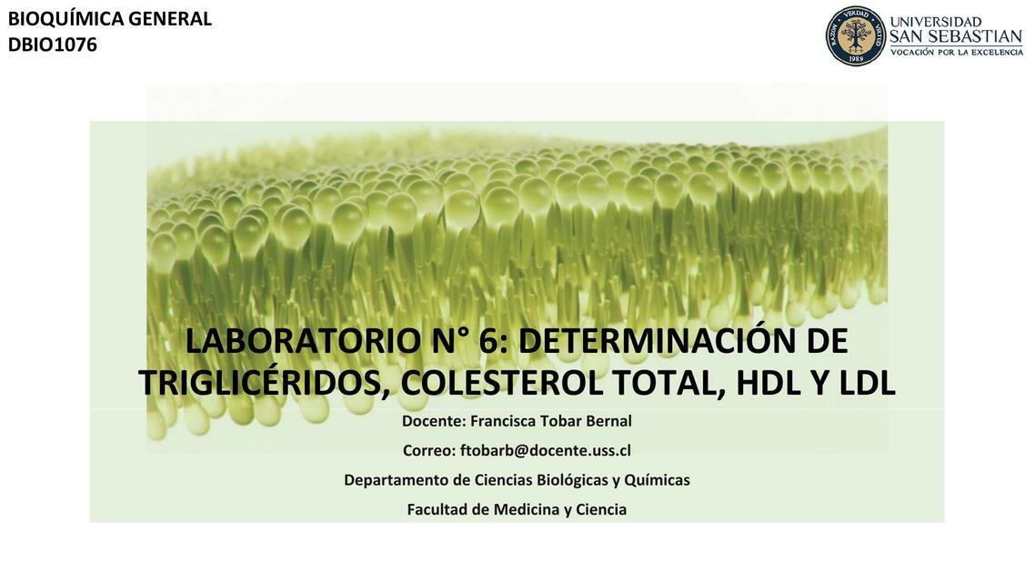 Laboratorio NA6 determinación de triglicéridos, colesterol total, HDL Y LDL