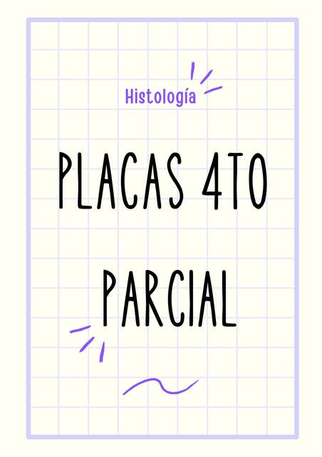 Placas histología 4 parcial