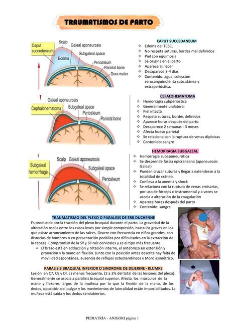 Traumatismos del parto 