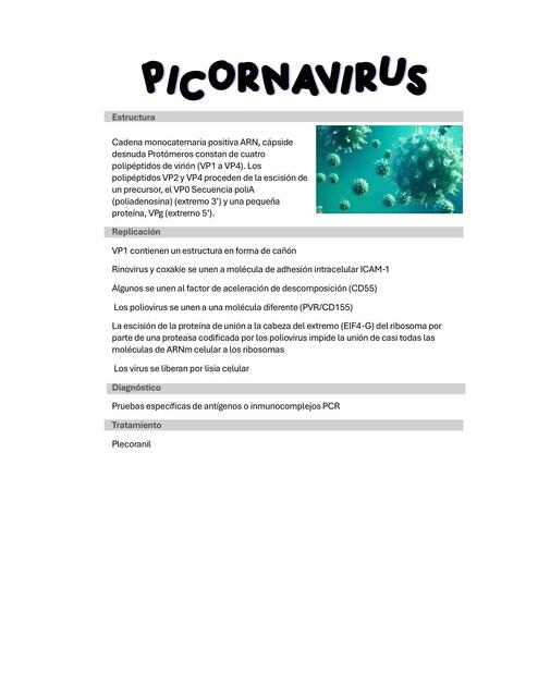 Picornavirus