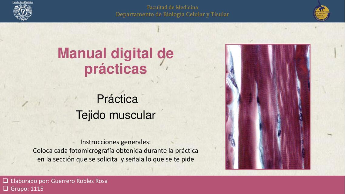 Manual digital de prácticas  