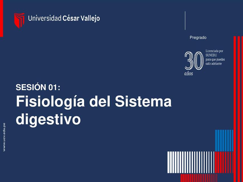 Fisiología del sistema digestivo  