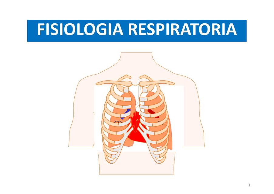 Fisiología respiratoria 