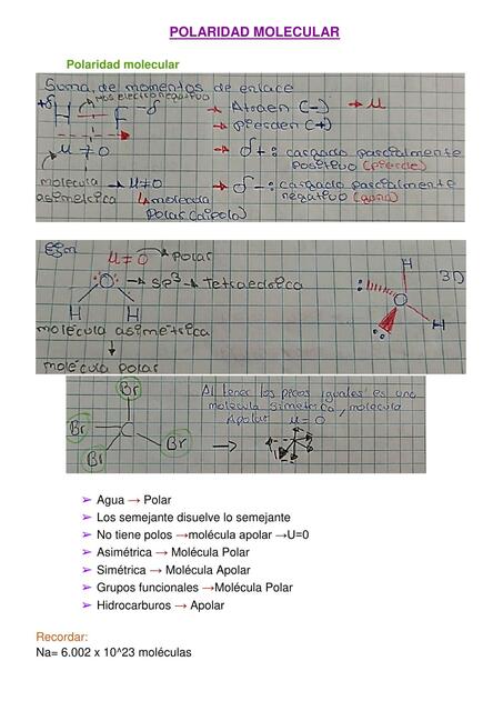 Polaridad molecular