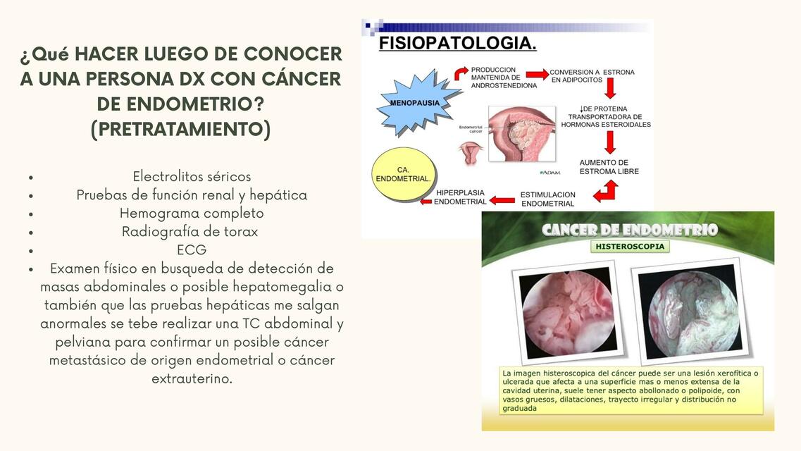 Cáncer endometrío