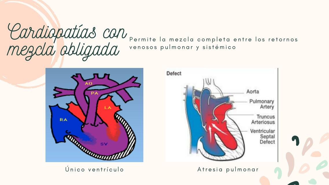 Cardiopatías conmezcla obligada