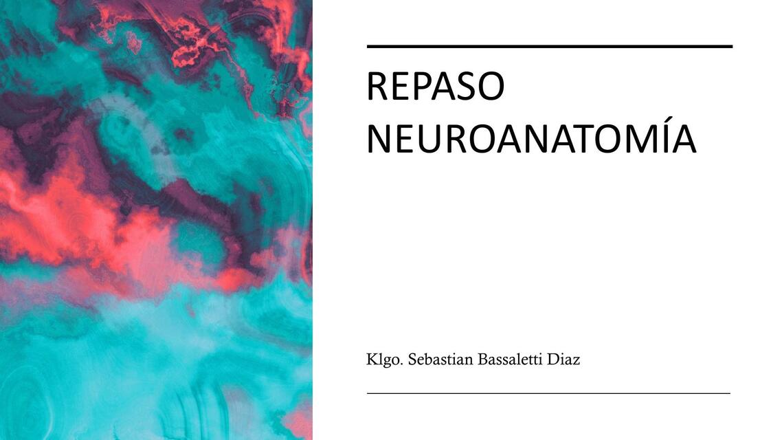 Repaso Neuroanatomía