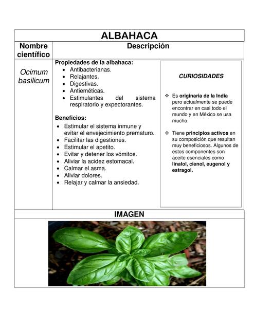 PLANTAS MEDICINALES