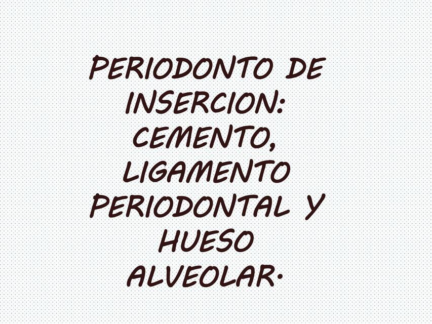 Periodonto de inserción