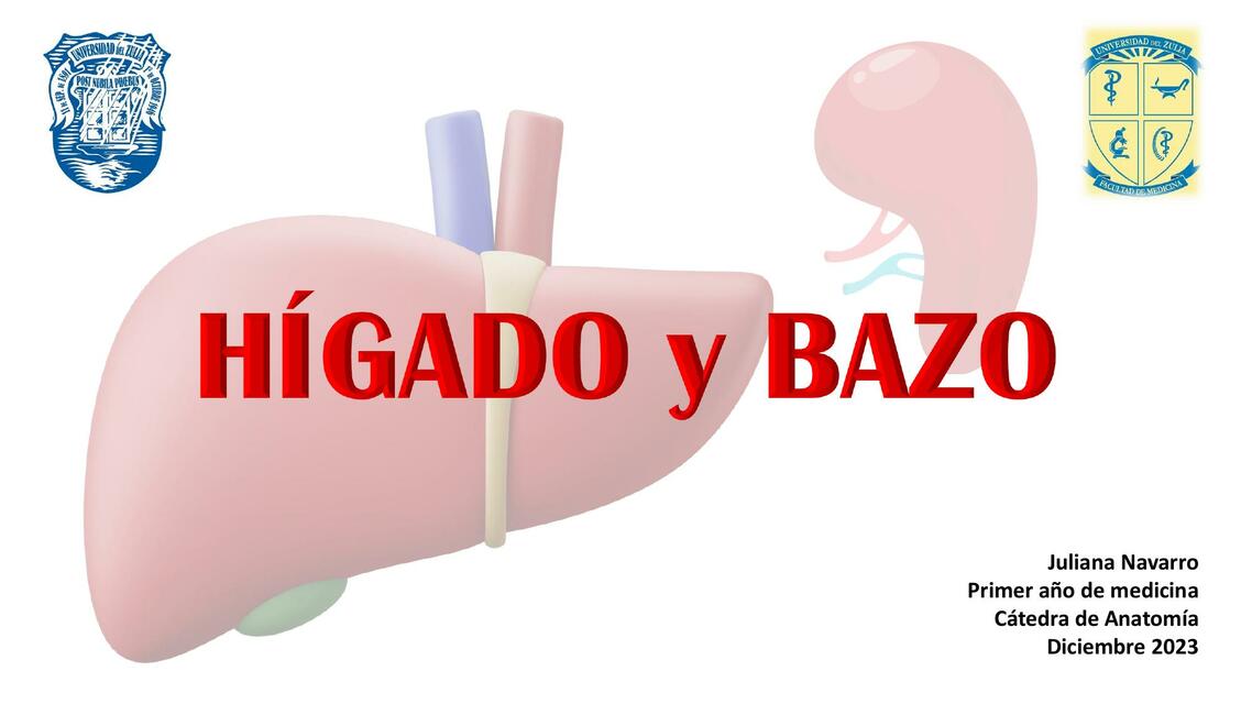 Hígado y bazo