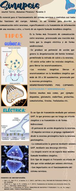 INFOGRAFÍA SINAPSIS ELÉCTRICA Y QUÍMICA