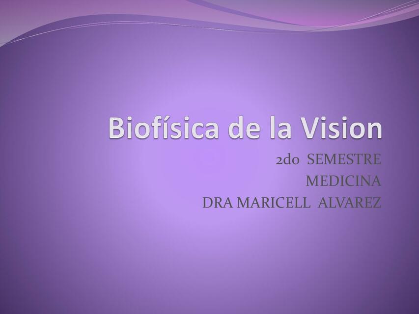 biofisica de la vision