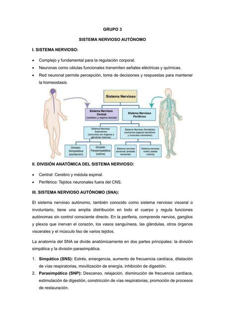 SISTEMA NERVIOSO AUTÓNOMO