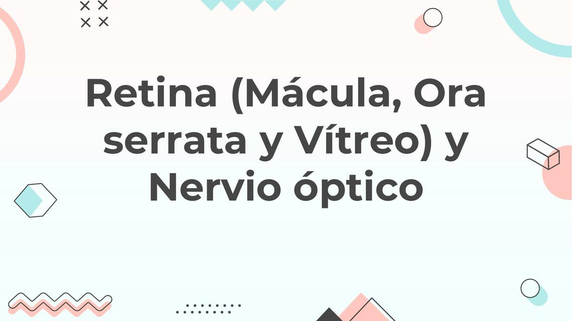 retina y nervio optico 2