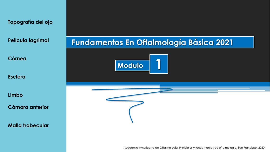 topografia del globo ocular 1