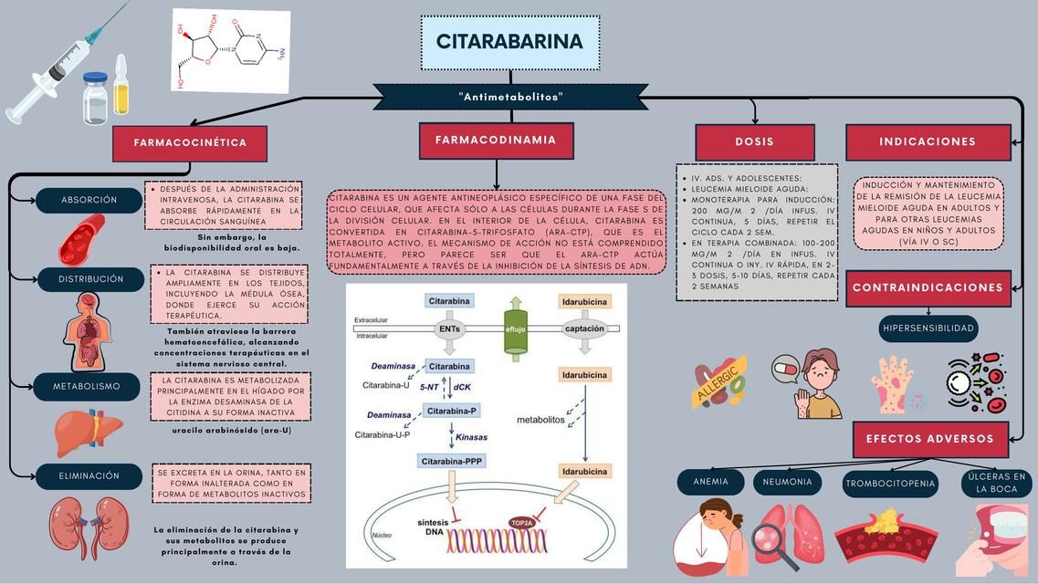 CITARABARINA