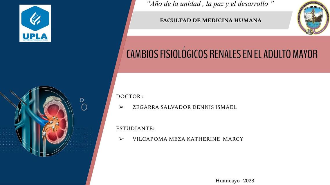 CAMBIOS FISIOLOGICOS RENALES EN EL ADULTO MAYOR