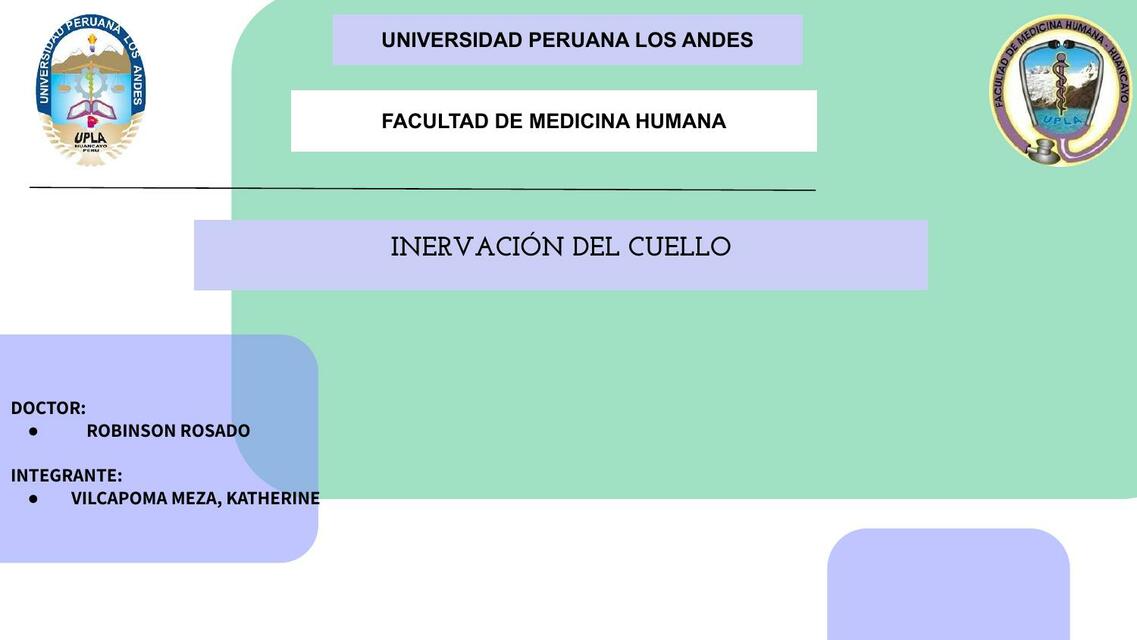 INERVACIÓN DEL CUELLO