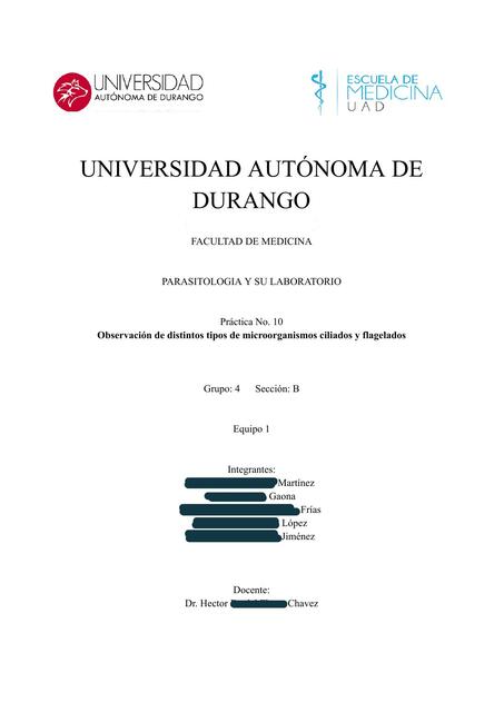 Observación de distintos tipos de microorganismos ciliados y flagelados