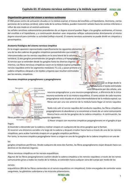 CAP 61 El sistema nervioso autónomo