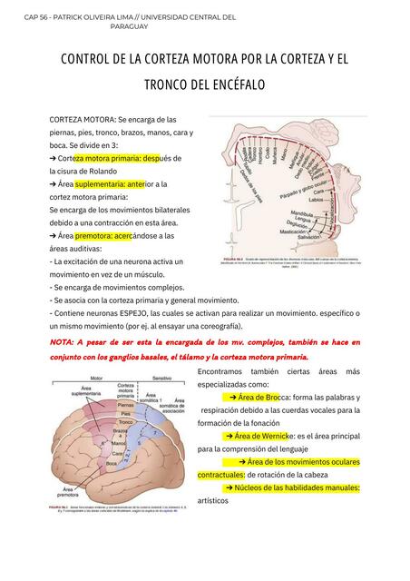 CAP 56Control de la función motora por la corteza