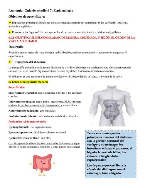 Esplacnología